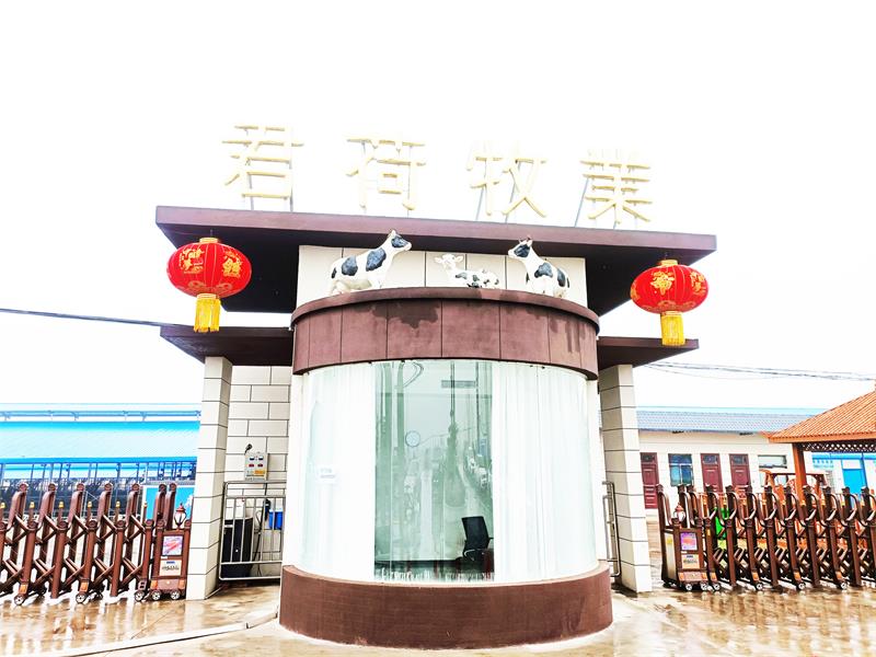 君荷牧業(yè)